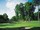 Grand Traverse Bear Golf