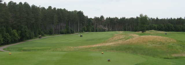 Timber Trace GC: tee #1
