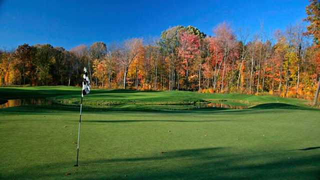 West Nine at Pheasant Run Golf Club in Canton West Nine at Pheasant Run Golf Club in Canton