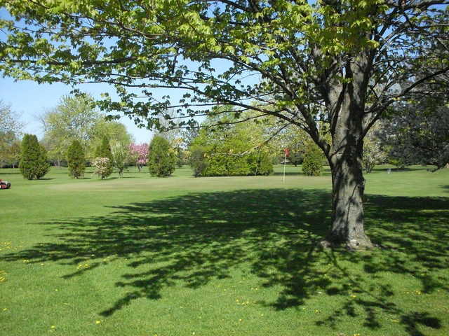 Warfield Greens Golf Course In Fraser