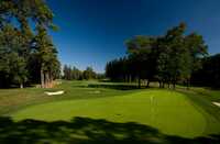 Pine Trace GC