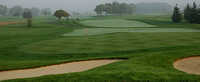 Coyote GC