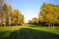 Greystone GC: #5