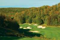Jones Masterpiece at Treetops Resort