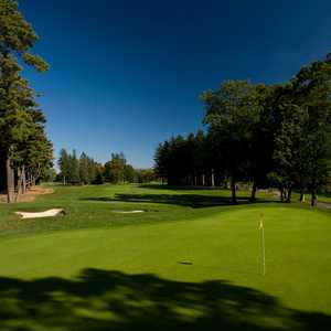 Pine Trace GC