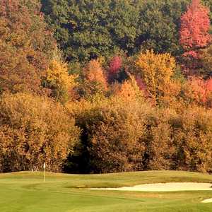 Willow Wood CC
