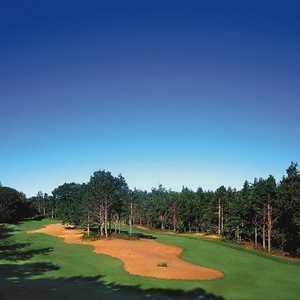 Hemlock GC: #12