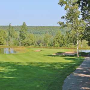 Treetops - Masterpiece golf course - hole 8