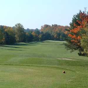 Timber Wolf GC