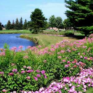 Lakewood Shores Resort - Serradella: #9