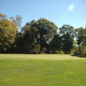 Whispering Willows