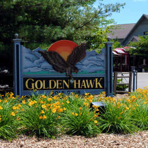 Golden Hawk GC