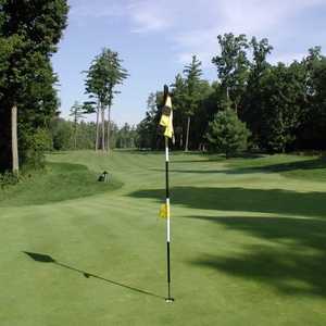 Pohlcat GC: #16