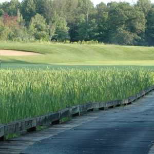 eldorado cadillac golf lakewood course