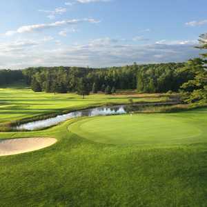 Alpine at Boyne Mountain Resort: #18