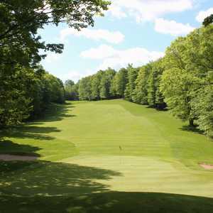 The Natural at Beaver Creek Resort: #15