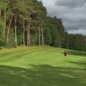 Whispering Pines: #15