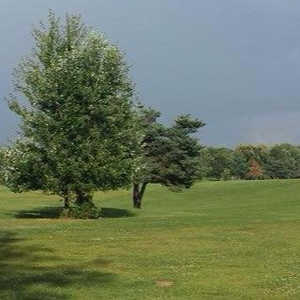 Turtle Creek GC