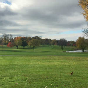 Fox Hills Golf Center