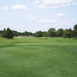 Dewitt MI golf courses