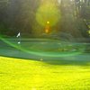 A sunny view of green at Timber Ridge Golf Course
