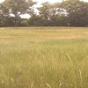A view of green at Lakeland Hills Golf Course