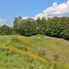 The 181-yard second hole is the longest par 3 from the blue tees on the Masterpiece golf course at Treetops Resort in Gaylord, Mich.