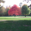 A view of a green guarded by fall red tree at English Hills Golf Course