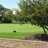 Sylvan Glen: Scenic view of the putting green