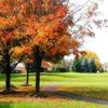A fall view from Bushwood Golf Club