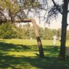 A sunny day view from Bent Pine Golf Club