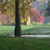 An autumn view surrounded by lake at West at Gull Lake View Golf Club and Resort