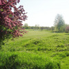 A spring view from Bay Valley Hotel & Resort