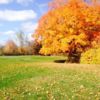Autumn view at Marysville Golf Course