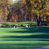 A view from green with carts in background at Lyon Oaks Golf Club