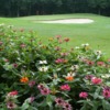 A view of a green at Country Club of Jackson