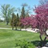 A spring view from Spring Valley Golf Course
