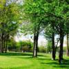 A view from Maple Grove Golf Club (Gwen Siegwald)