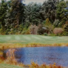 A view of a green at Westwind Golf Course