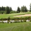 A view of green #17 at Munoscong Golf Club