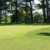 A view of a hole at Whitefish Lake Golf Club.