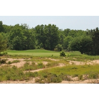 The par-3 16th hole at the Forest Dunes Golf Club plays over sandy scrub. 