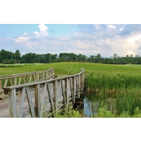 Wetland surrounds the seventh green at the Hidden River Golf & Casting Club in northern Michigan.