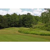 Slicers bring the wetland into play near Thoroughbred Golf Club's par-3 17th green.