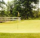 The Bear Golf Course