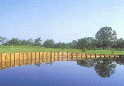 The Bridges Golf Club