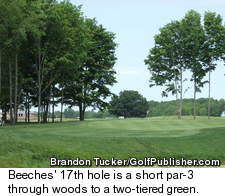 Beeches Golf Club - Michigan