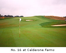 Calderone Farms Golf Club