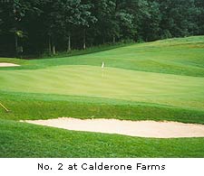 Calderone Farms Golf Club