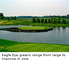 Eagle Eye